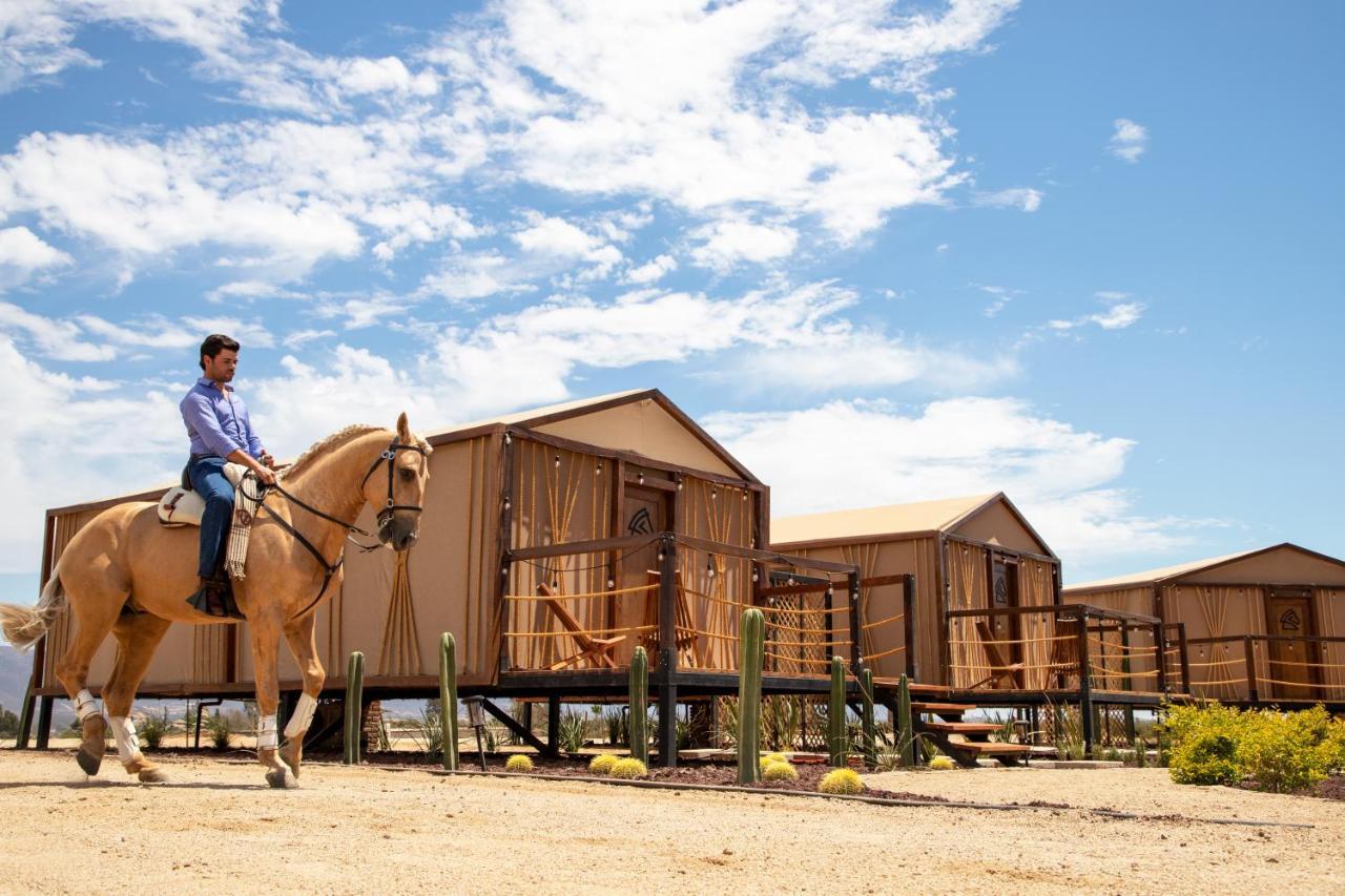 Indomito Resort & Hotel Boutique Valle de Guadalupe Bagian luar foto